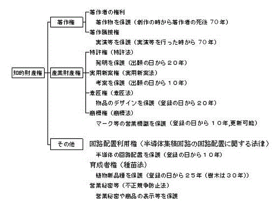 知的財産の構成